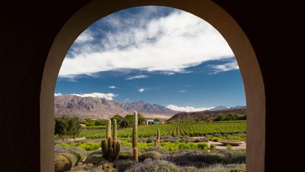 Bodega Colomé